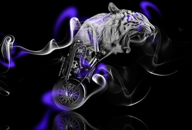 Tony Kokhan, Moto, Fantasy, Tiger, Bike, Smoke, Violet, Neon, Black, Side, Chopper, el Tony Cars, Animal, HD Wallpapers,  , , , , , , , , , , , , , , , , 2014