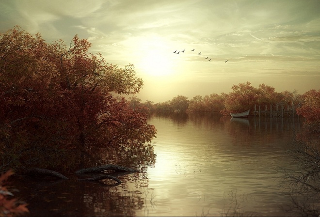 autumn, trees, lake, water, birds