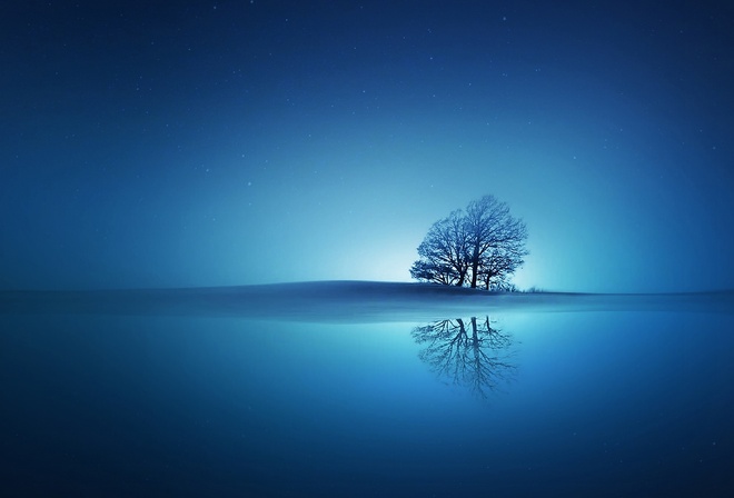 reflection, tree, blue, stars, sky