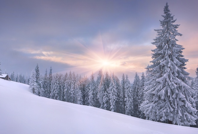 зима, природа, лес, домик, красиво, снег, небо, солнце