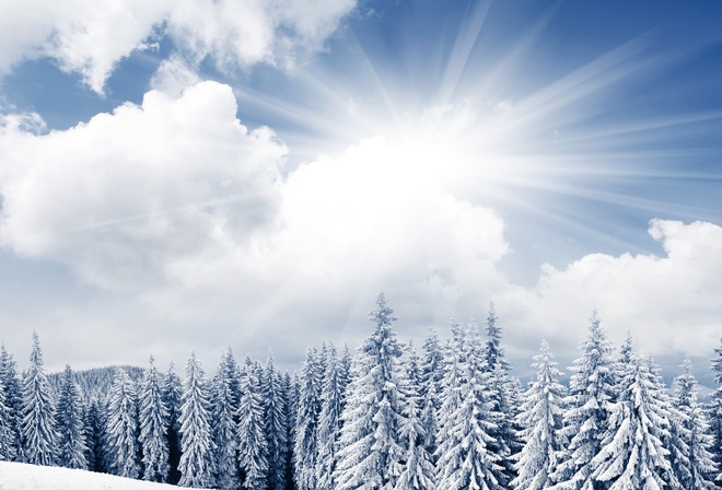 winter, mountain, snow, trees, sunlight