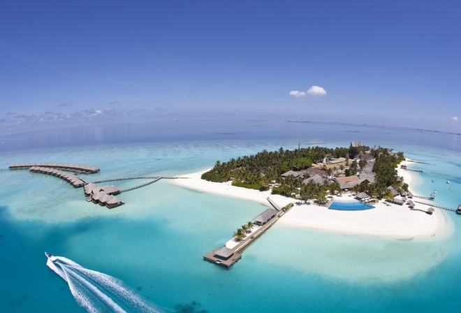 maldives, island, exotic, ocean, water, palm