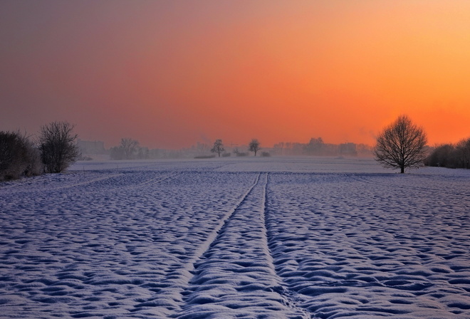 winter, mountain, snow, trees, sunlight, fields