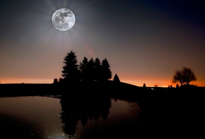 moon, river, reflexion, tree, night, star, sky