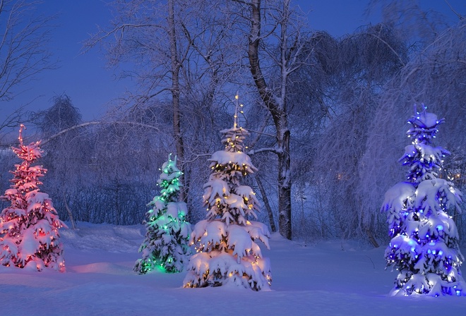 природа, зима, вечер, новый год, снег, красиво