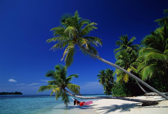 ocean, sea, palm, sand, girl