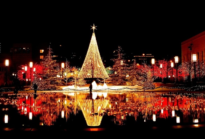 tree, christmas, light, city, night