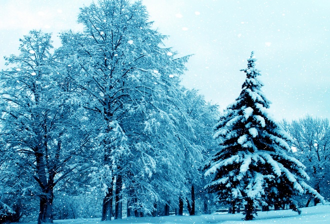 природа, зима, снег, красиво, 2015
