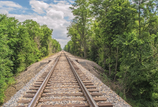 railroad, tracks, tree, green, sky