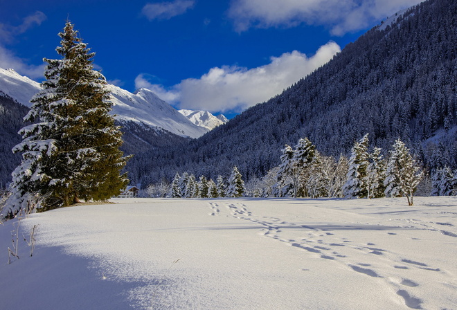 Швейцария, зима, горы, небо, лес, красота