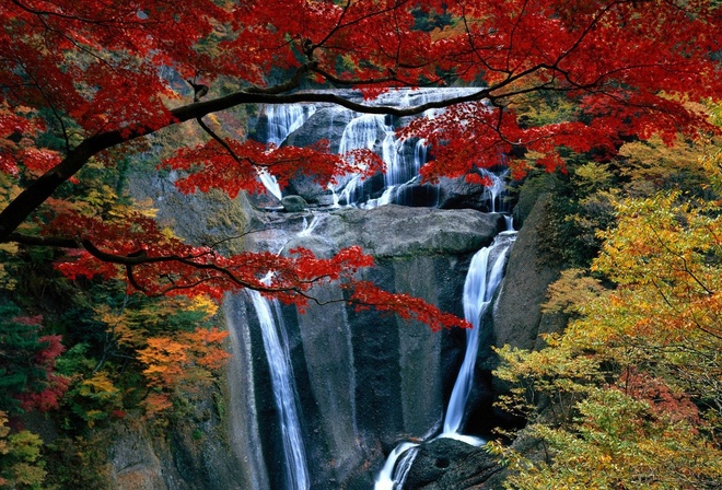 autumn, colors, trees, mountain, leaves, grass, waterfalls