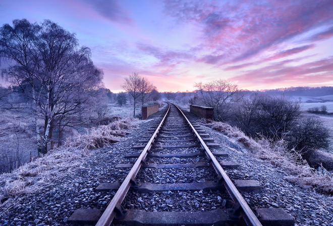 railroad, tracks, tree, green, sky