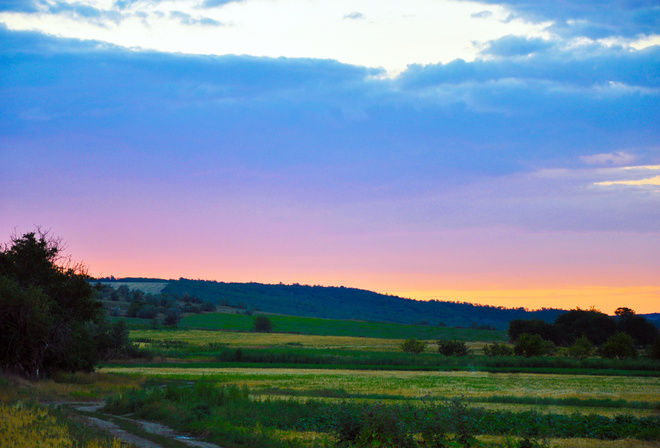 hills, fields, colors, trees, grass, sky, green