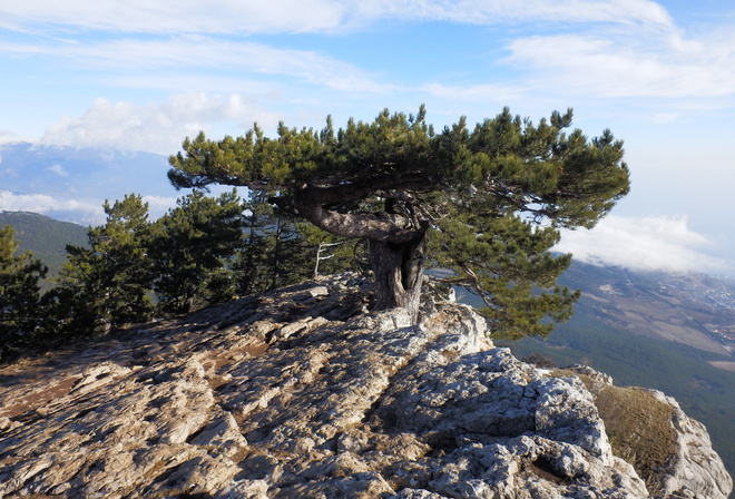 ����, ������, �����