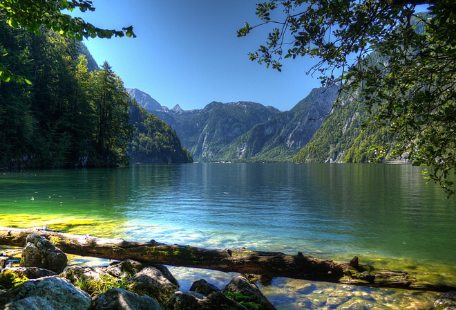 waterfall, forest, tree, river, green