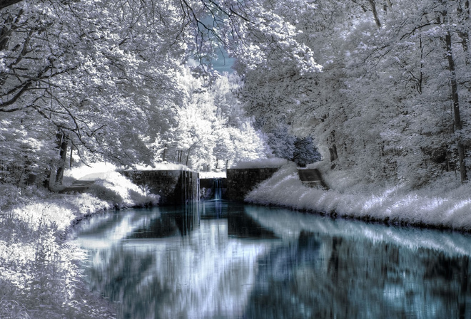 waterfall, forest, tree, river, green, bridge