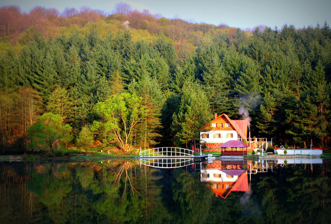 lake, water, tree, grass, sky