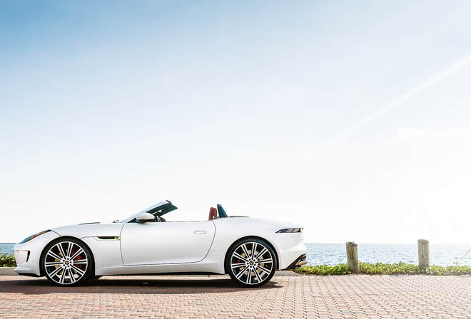 Jaguar, F-Type, white, profile, машина