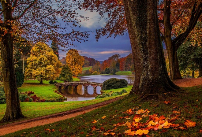 bridge, river, autumn, tree, leaves