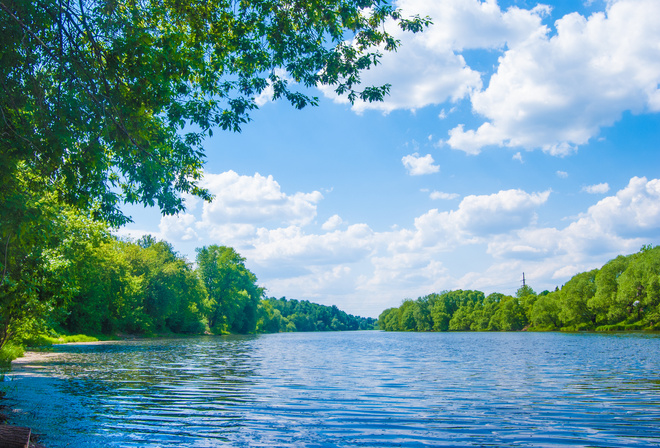 River lune, sea, lake, deep forest, trees, sky, clouds, landscape, nature, beautiful nature, green trees