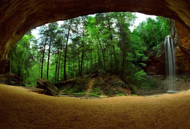 rocks, forest, tree, path, leaves, green