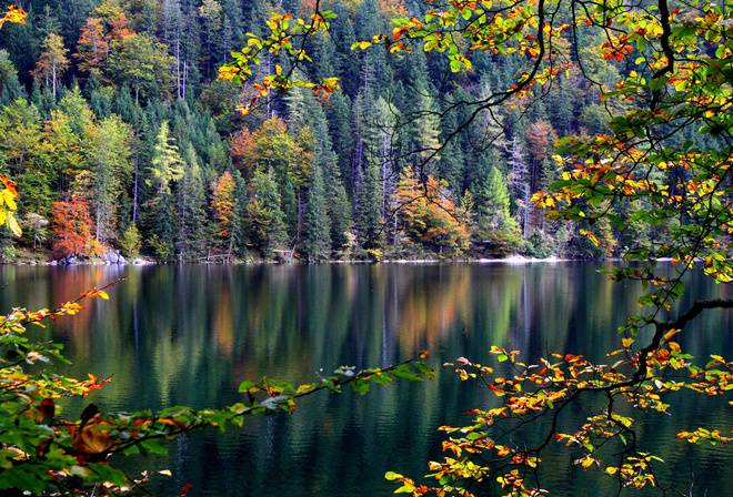 autumn, leaves, lake, reflection, tree, forest, water
