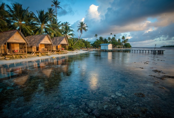 polynesia french, palm, water, bungalows, ocean