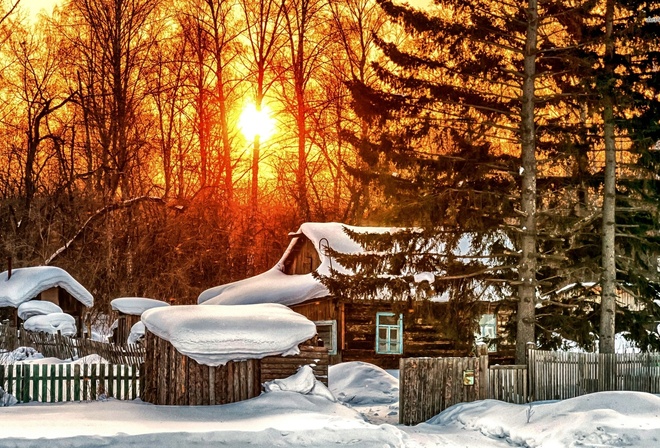snowy, house, forest, tree, sunlight