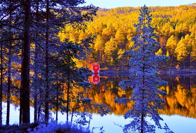 cabin, small, lake, tree, winter, snow