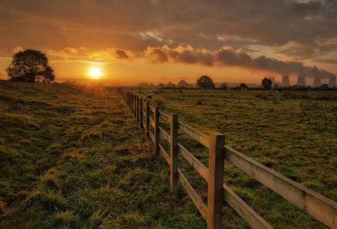 fence, sunset, sun, tree