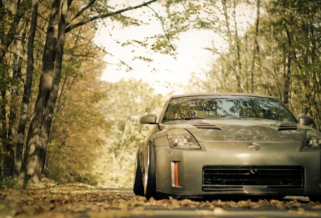 nissan, fairlady, forest, leaves