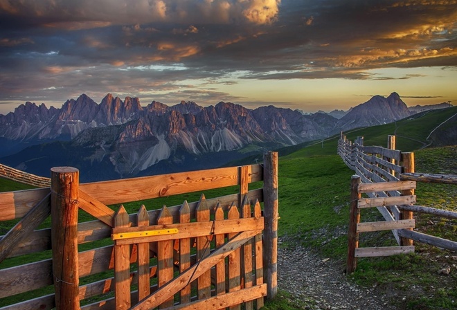 fence, road, tree, path, forest, grass, mountain