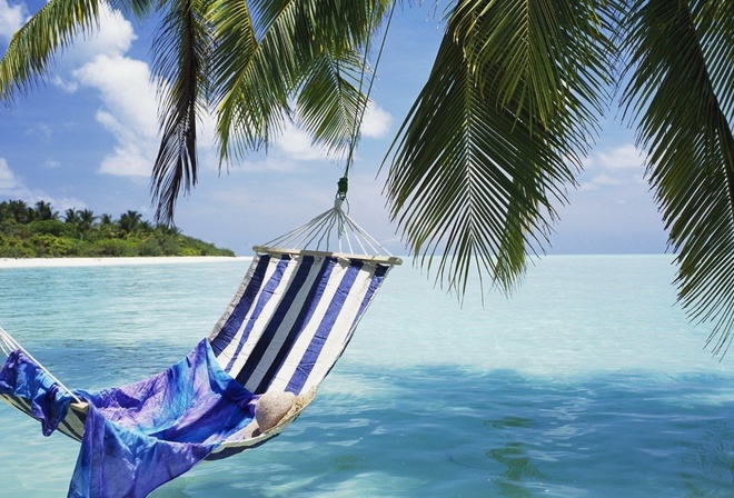hammock, beach, palm, ocean, paradise, tropical