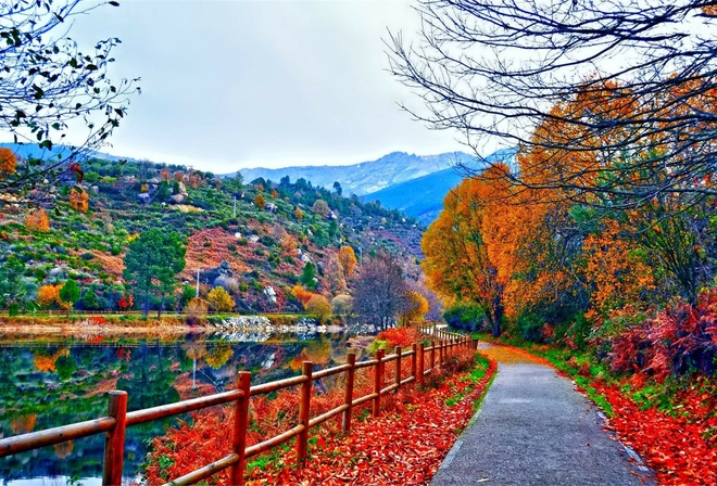 fences, autumn, road, lake, reflextion