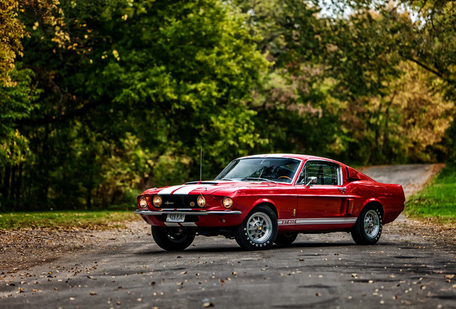 , , Ford, 1967, , GT500, , , , 