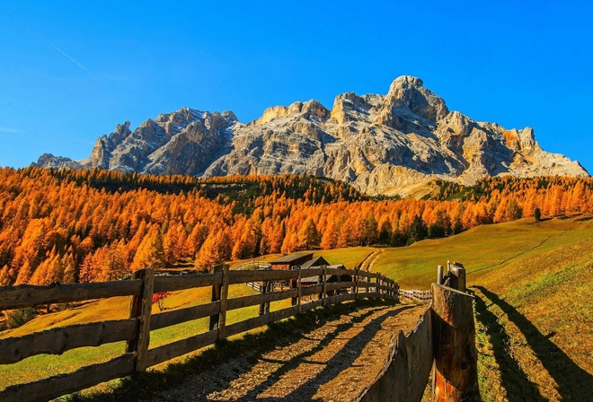 fence, path, mountain, autumn