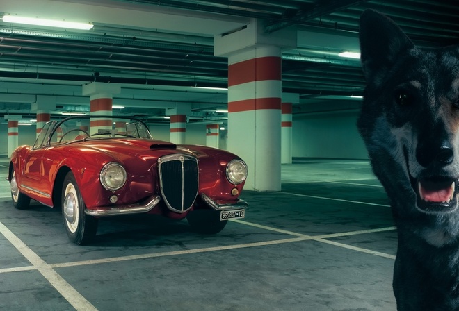 Lancia, Aurelia, GT, Convertible, 1954, Лянча, Аурелиа, красный, передок, классика, парковка, волк, wolf, фон