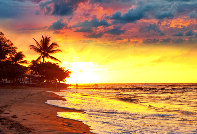sea, paradise, beach, tropical, palms, sunset