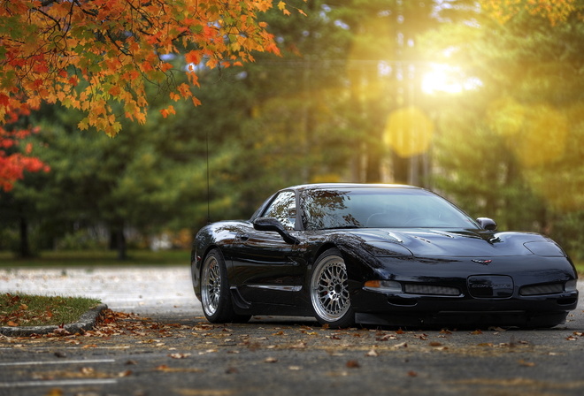 chevrolet corvette,  , muscle car