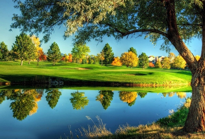 river, water, reflextion, tree, grass