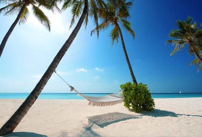 maldives, hammock, palm, ocean, water
