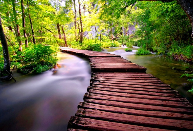 wooden, bridge, tree, forest, river