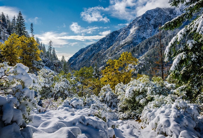 Альпы Тринити, Калифорния, горы, эима, снег