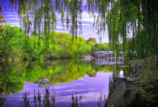 Central Park in New York, autumn, pond, trees