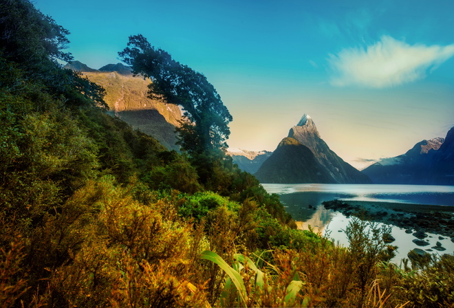 landscape, New Zealand, Mountains, milford, shrubs