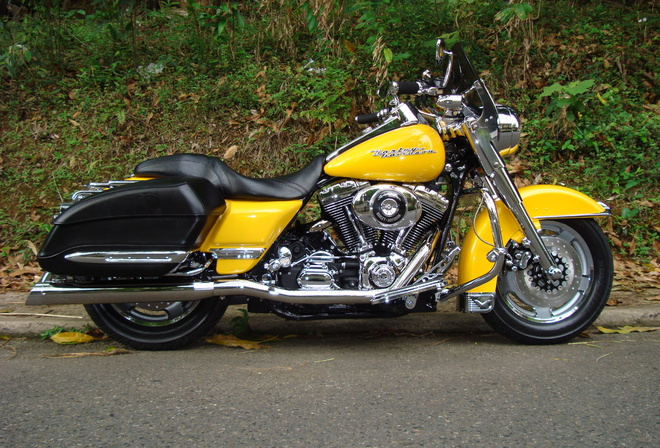 Harley-Davidson, Road King, Custom