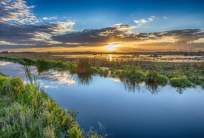 ����, ������, �����