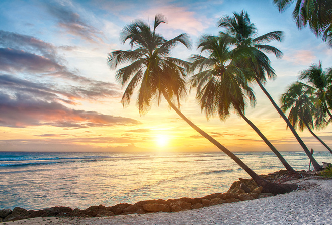 tropical, paradise, beach, palms, sea, sunset, , , , , , , 