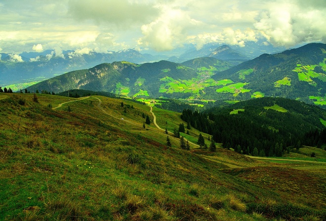 Austria, field, Hills, road, trees