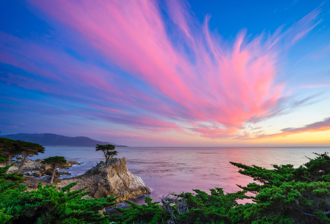 Lone Cypress, -, , , 